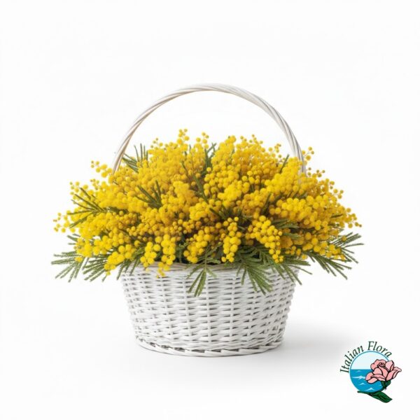 Basket with mimosa