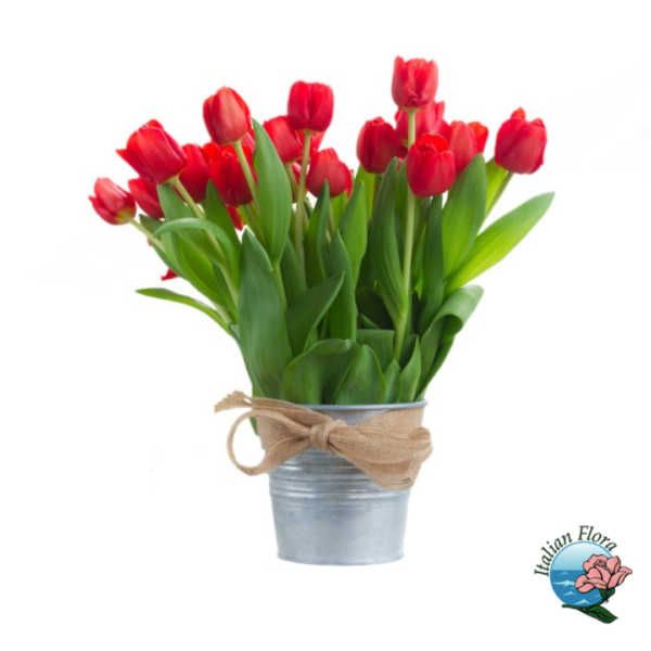 Bouquet of red tulips