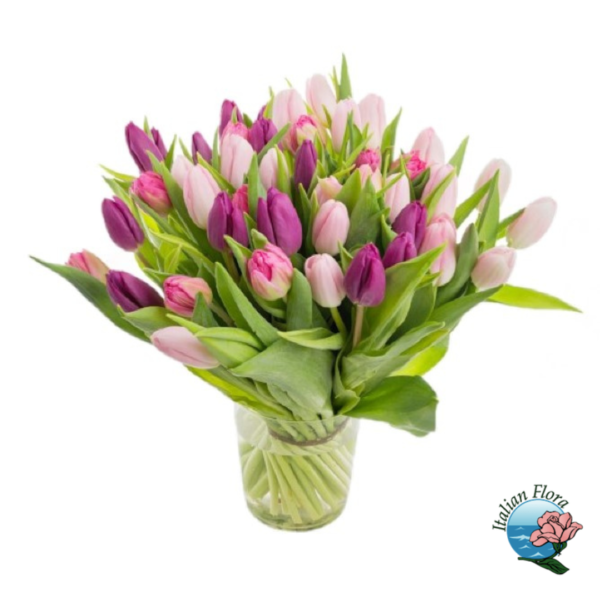 Tulipanes rosados ​​y blancos