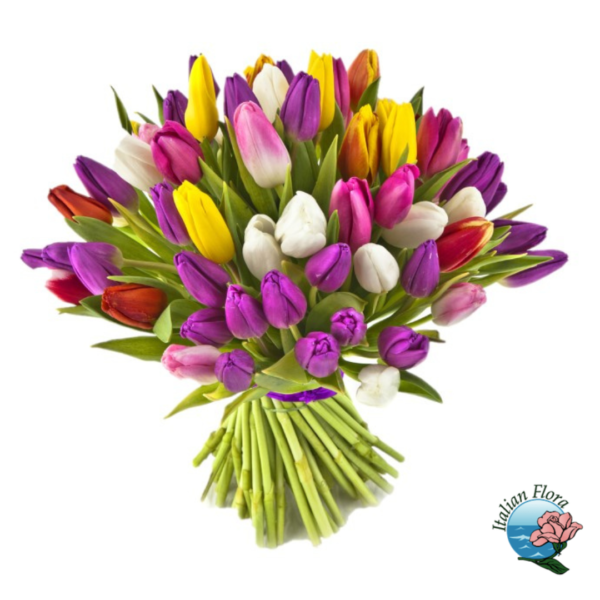 Tulipanes multicolores