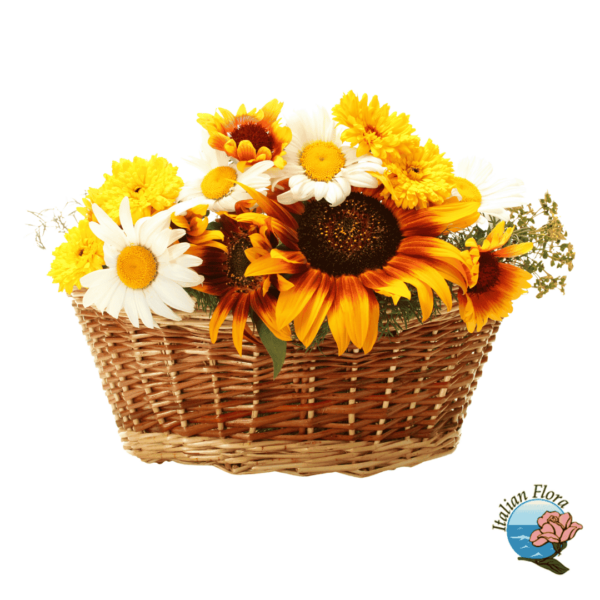 Basket of sunflowers