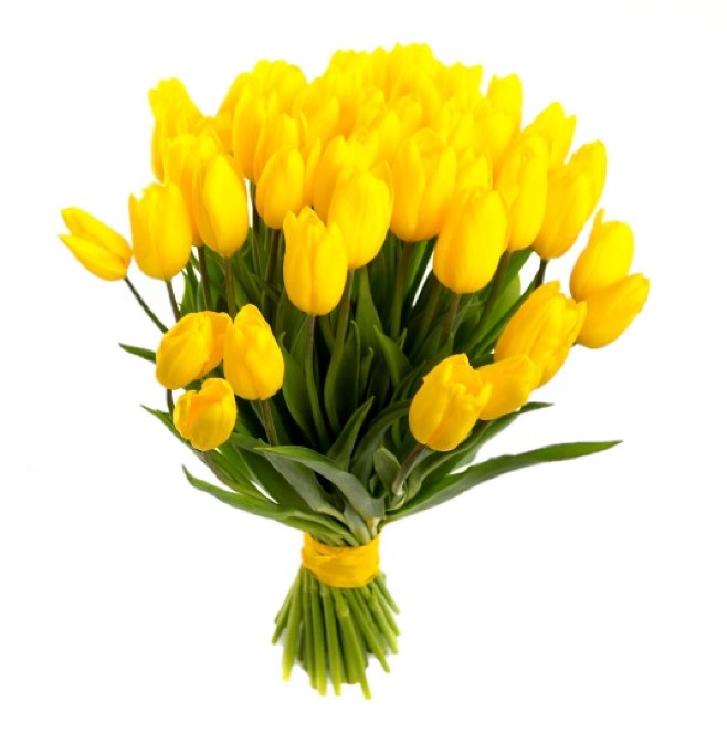 Ramo de tulipanes amarillos - Flora italiana