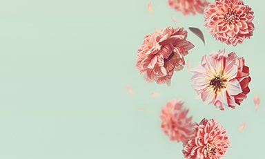 fiori-banner-medio-fondo