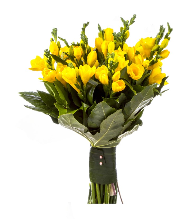 黄色いフリージアの花束 イタリアンフローラ