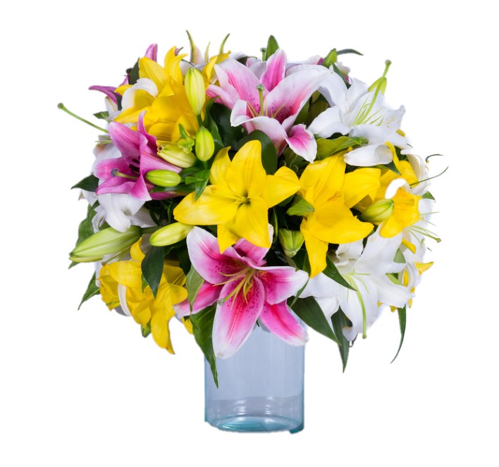 百合花束 意大利植物群