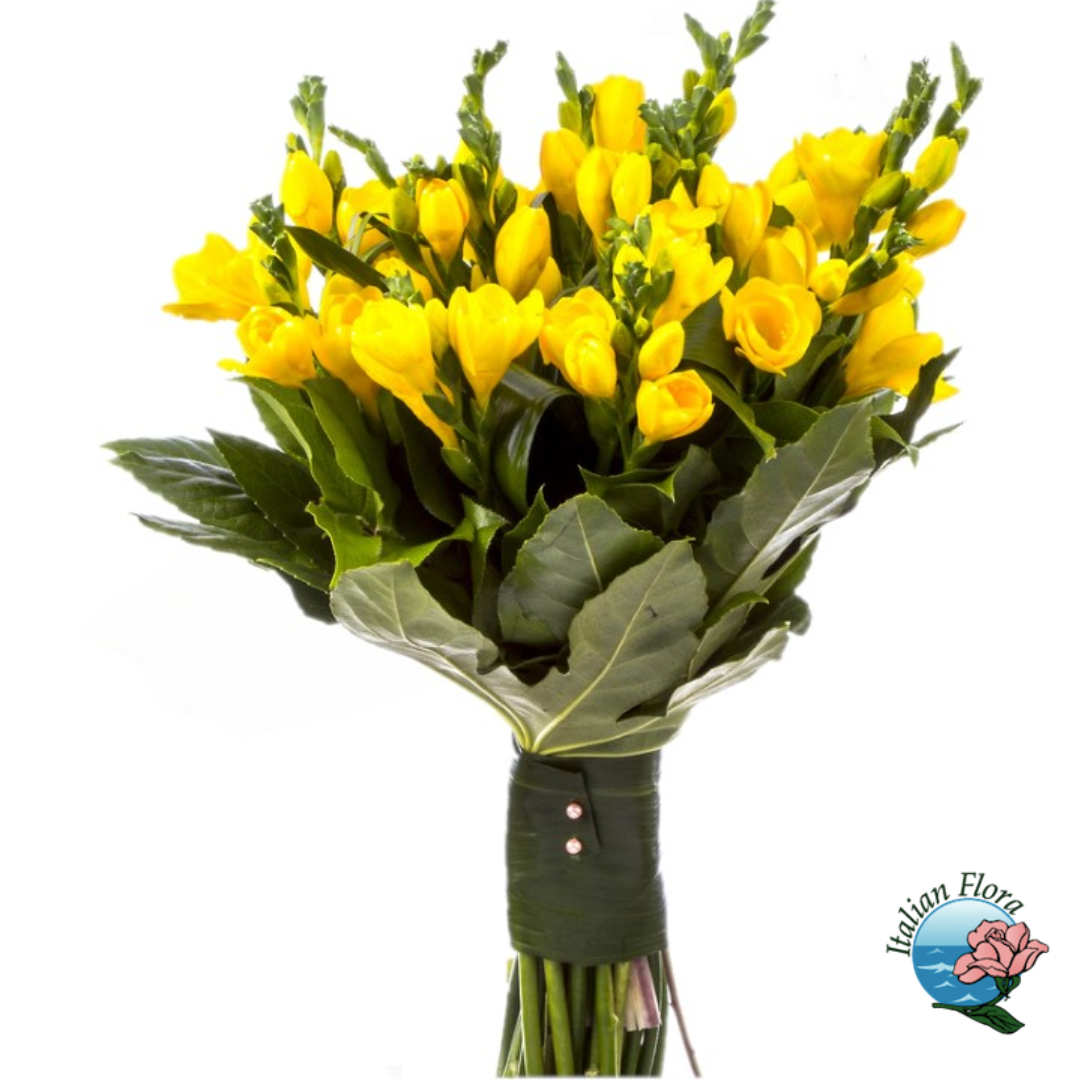Bouquet of yellow freesias