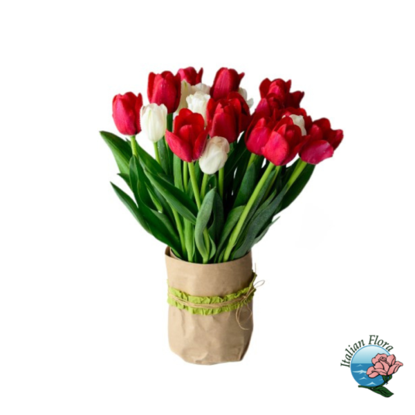 Ramo de tulipanes rojos y blancos