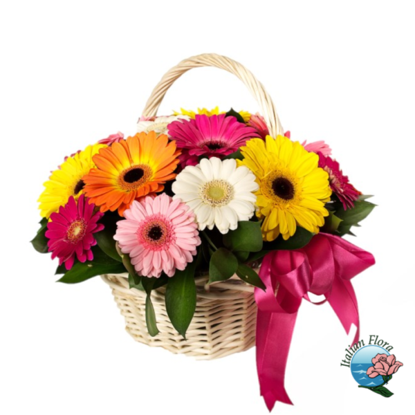 Basket of colour gerberas