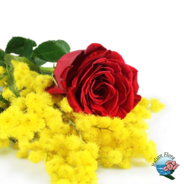 rosa-rossa-e-mimosa.jpg