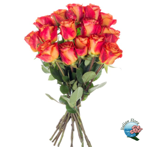 Bouquet of 15 orange roses