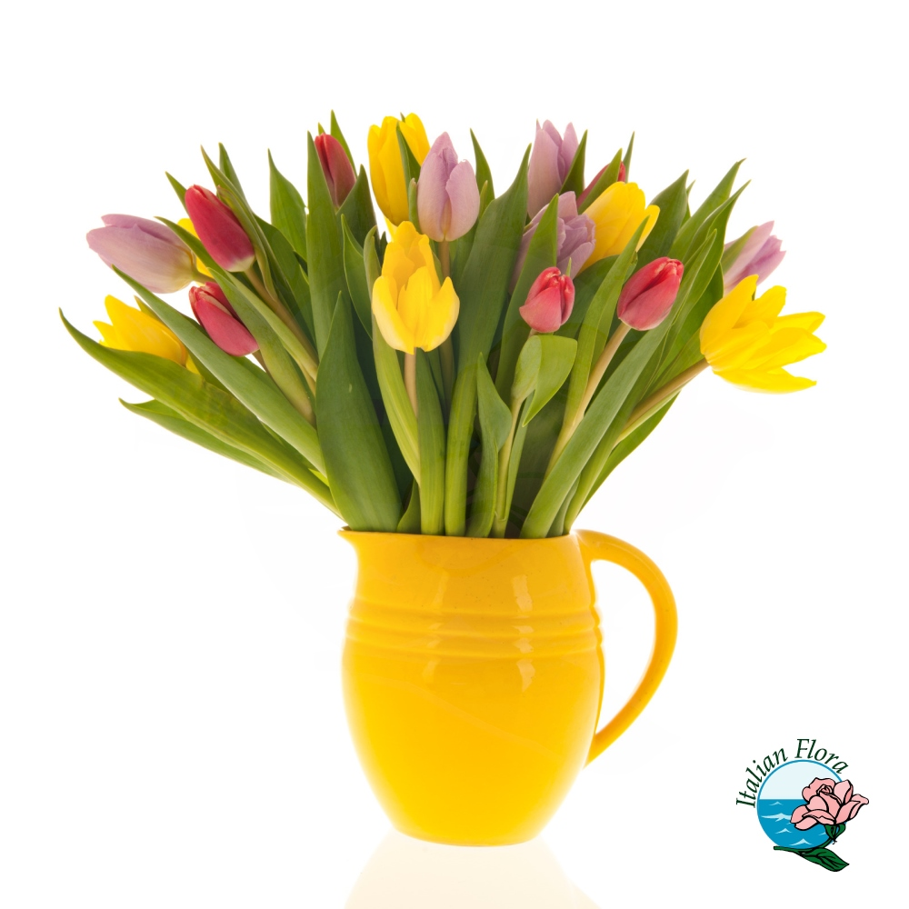 Multicolour tulips Italian Flora
