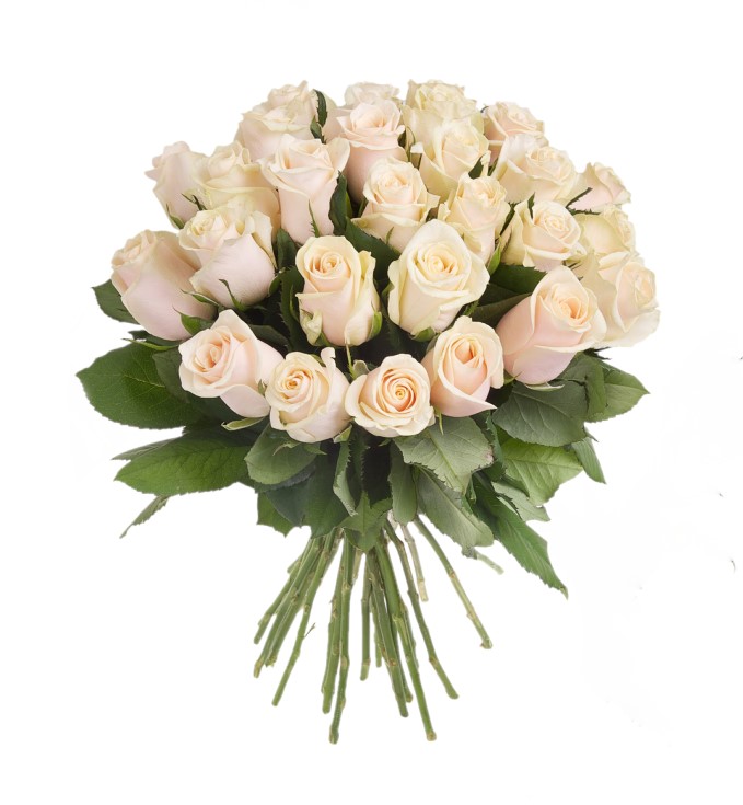 Strauß cremefarbener Rosen Italienische Flora