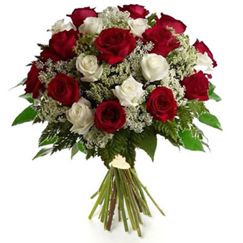 Roses rouges et blanches - Flore italienne