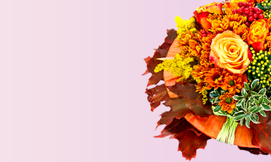 flowers-banner-mediaASm-top