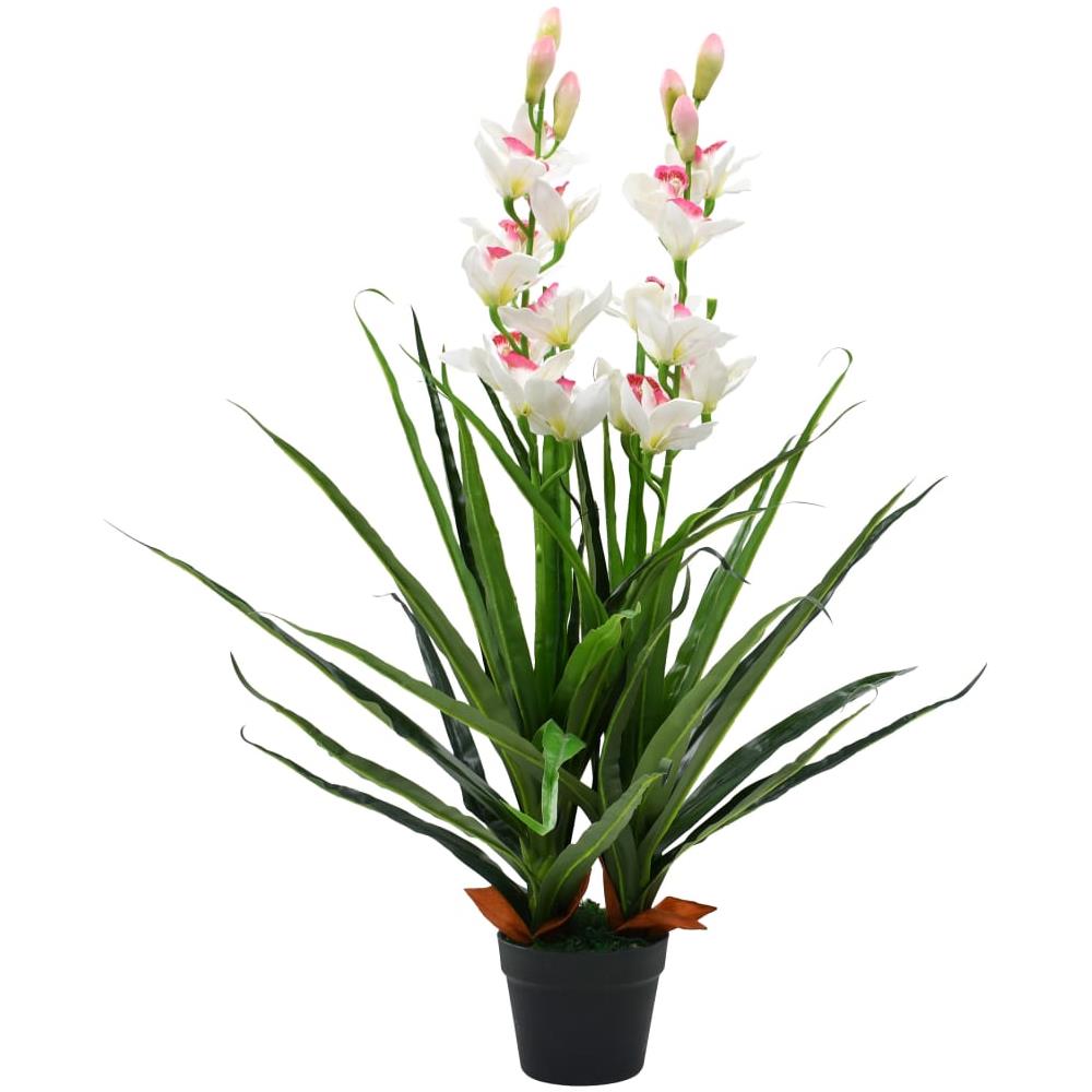 Orquídea branca Cymbidium - Flora Italiana