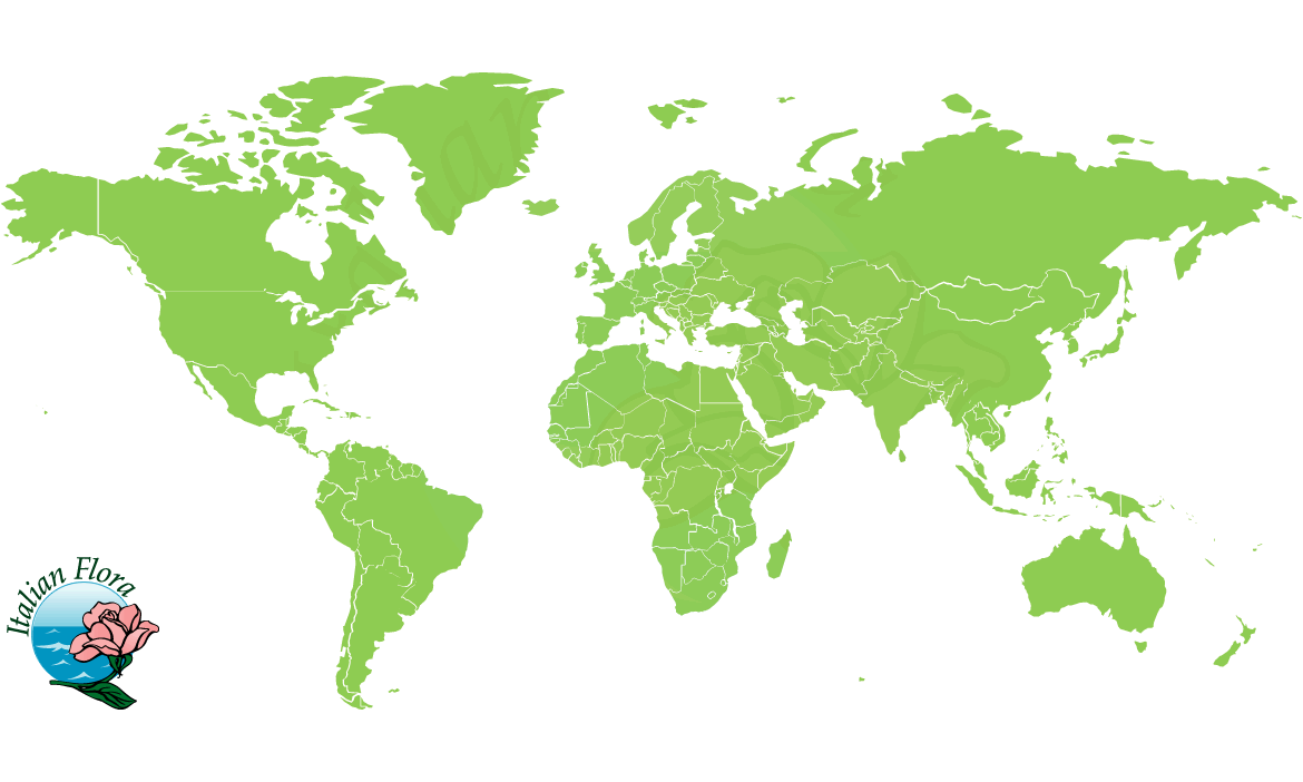 international flowers delivery