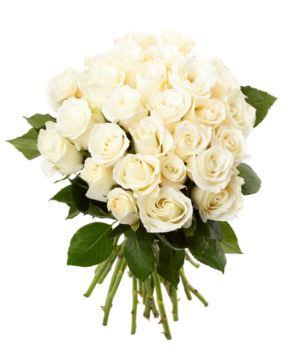 24本の白いバラの花束 イタリアンフローラ