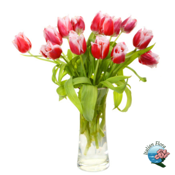 Bouquet of red tulips with white heart