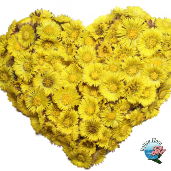 Corazón funerario de gerberas amarillas