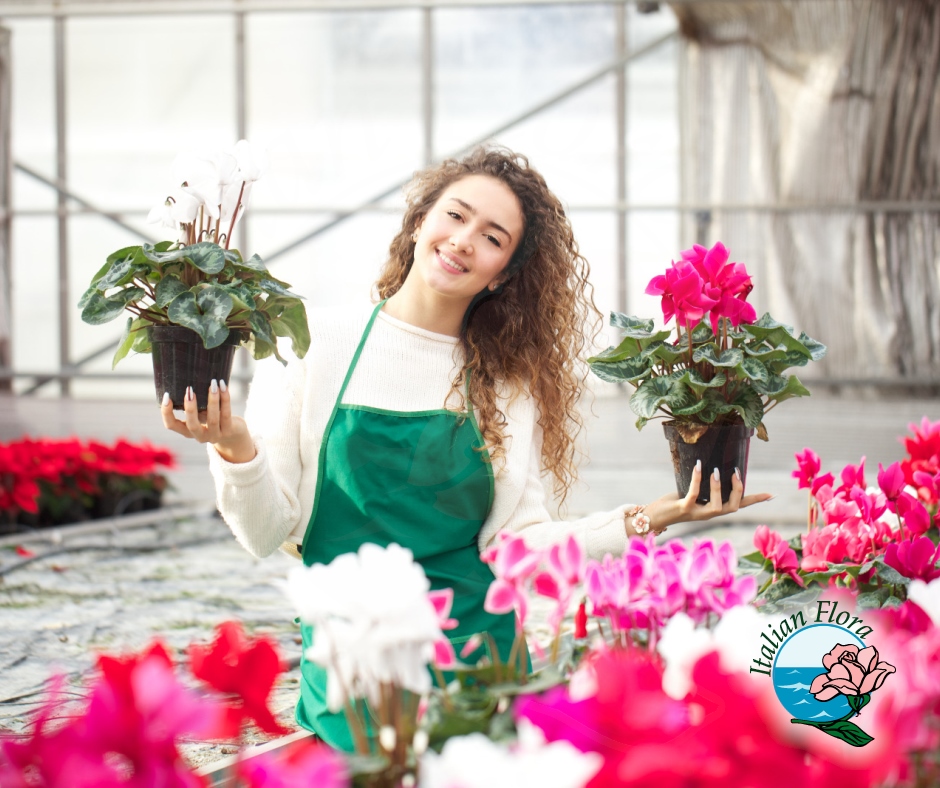 Send flowers to Georgia Send flowers to Georgia