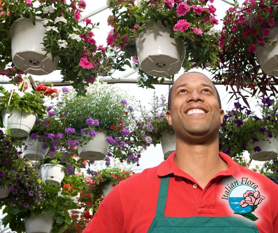 Send flowers to Jamaica Send flowers to Jamaica
