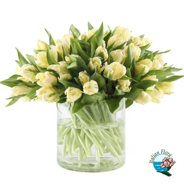 Bouquet of 50 white tulips