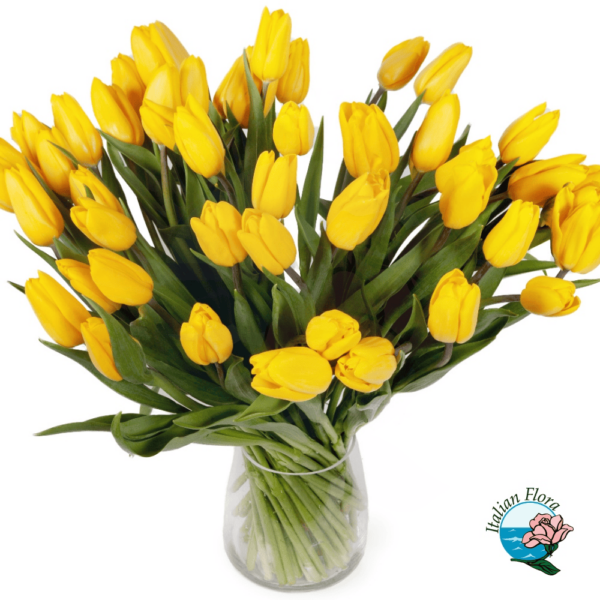 Bouquet of 50 yellow tulips