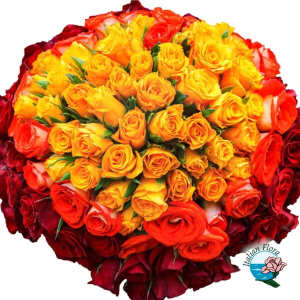 100 mix red orange and yellow roses