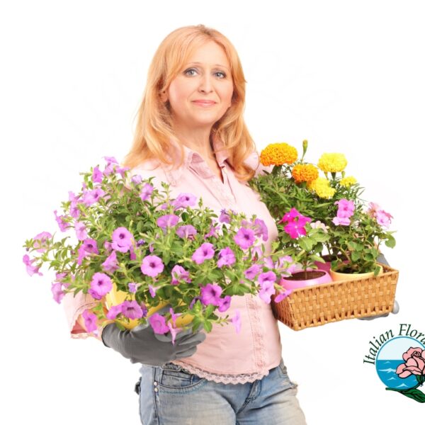 Flowering Plants