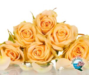 enviar rosas en linea