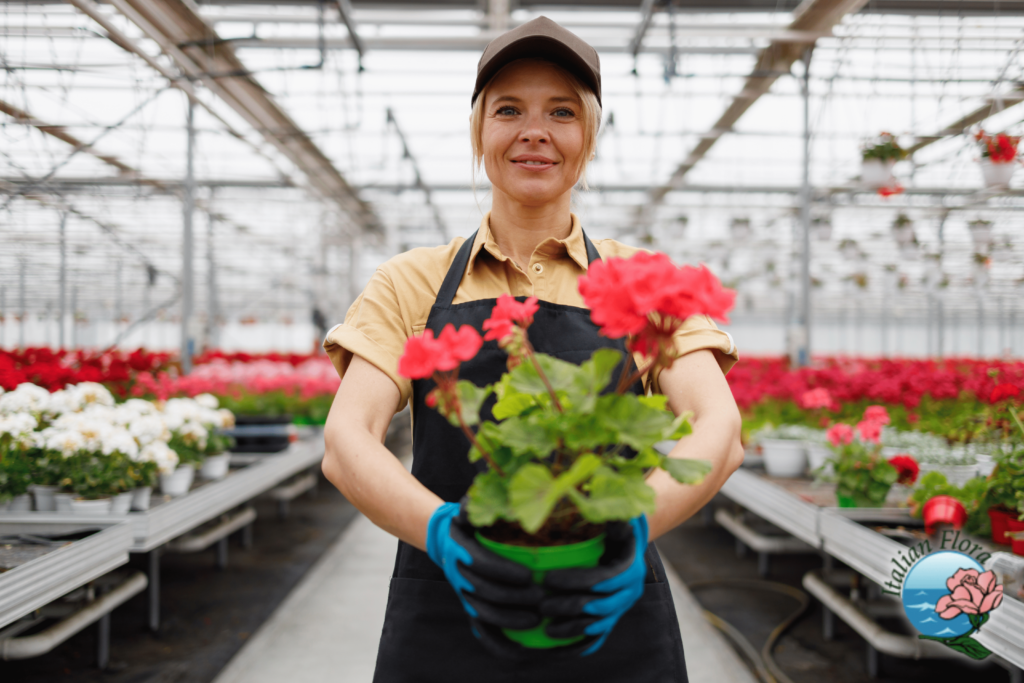 Send flowers to Brindisi Send flowers to Brindisi