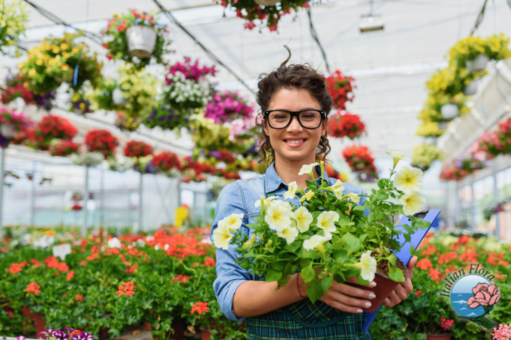 Send flowers to Foggia Send flowers to Foggia