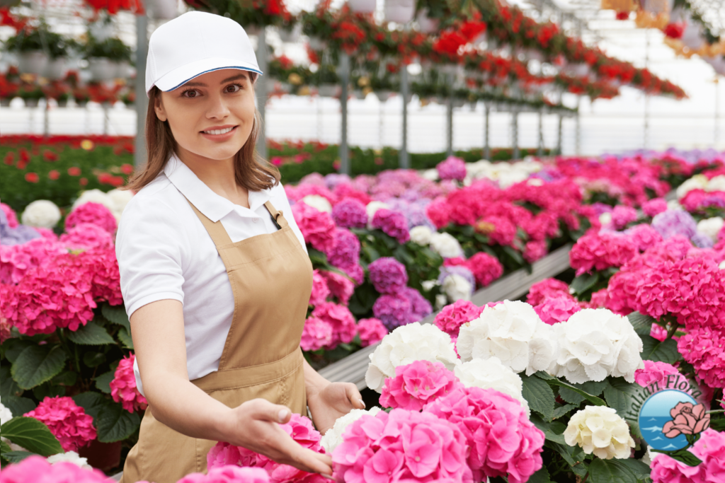 Send flowers to Lodi Send flowers to Lodi