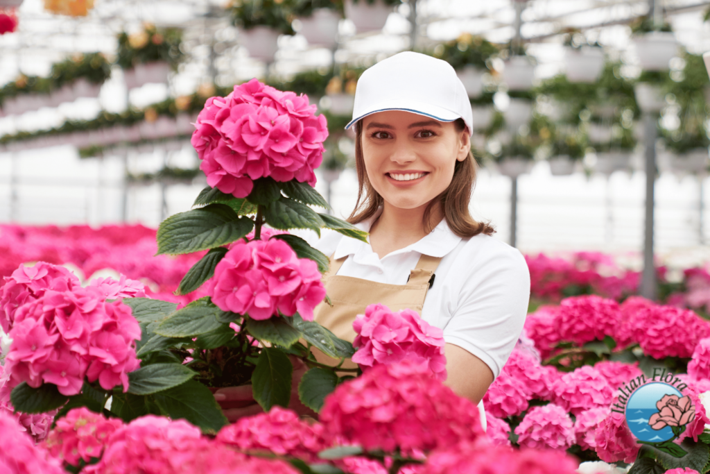 Send flowers to Sondrio Send flowers to Sondrio