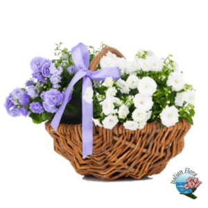 white flowers