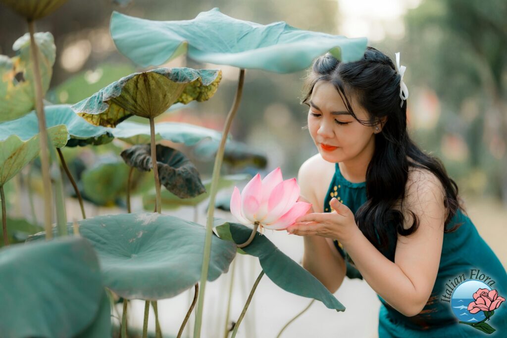 Send flowers to American Samoa Send flowers to American Samoa